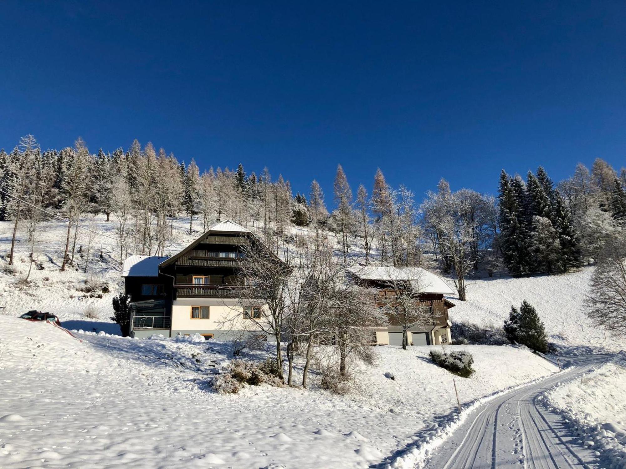 Appartement VIDMAR-FERIENGLÜCK Arriach Exterior foto